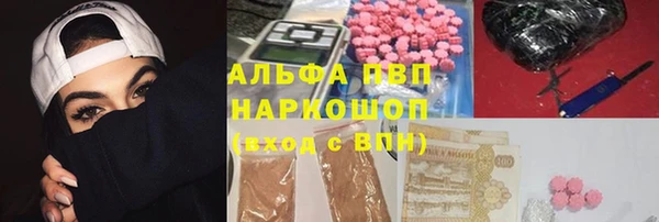 прущие грибы Семилуки