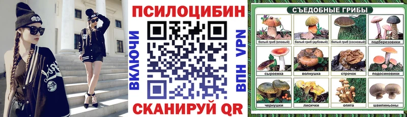 omg зеркало  Жирновск  Галлюциногенные грибы мицелий 