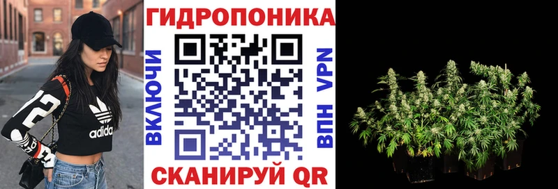kraken онион  продажа наркотиков  нарко площадка телеграм  Бошки Шишки гибрид  Жирновск 
